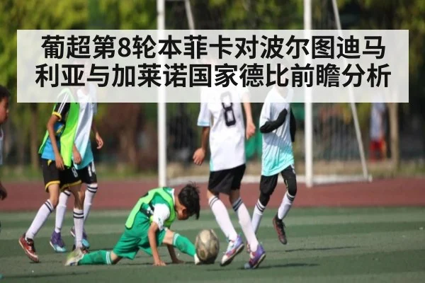 葡超第8轮本菲卡对波尔图迪马利亚与加莱诺国家德比前瞻分析